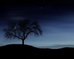 serene night