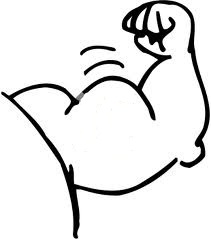kartun_biceps.jpg